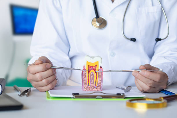 Best Emergency Cosmetic Dentistry (e.g., broken veneers) in Kentland, IN